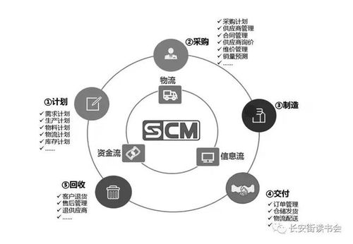 改革创新 陈文玲 现代流通的形态变革与理论重构