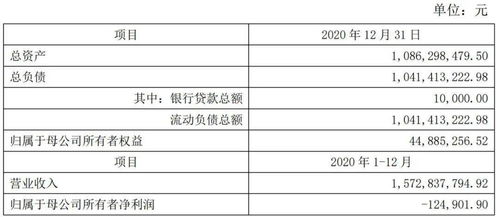 亚士旗下11家子公司去年累计实现营业收入超过80亿元